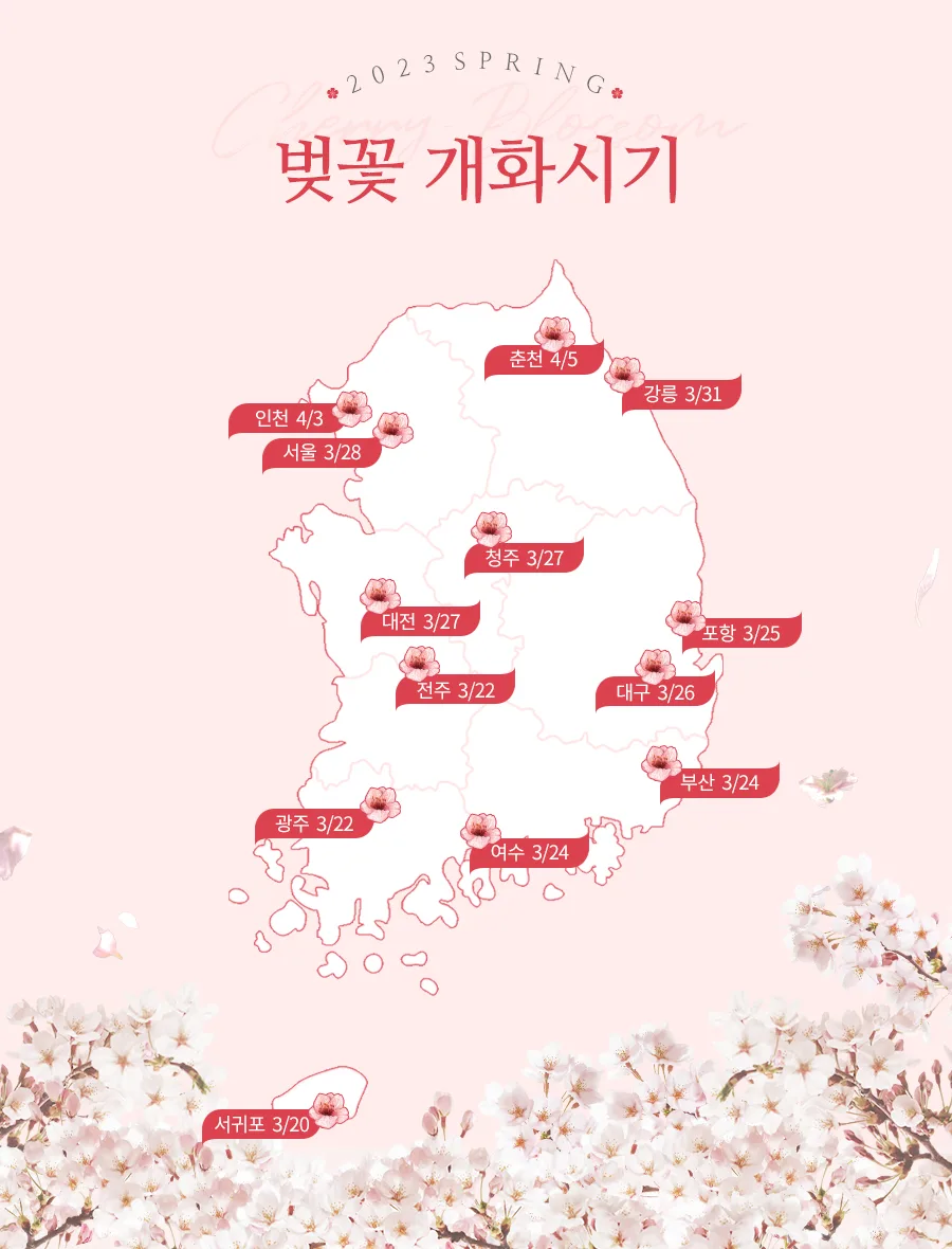 제주의 봄 벚꽃과 계절 풍경